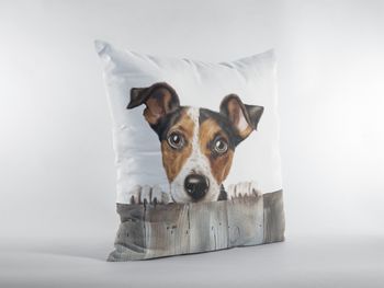 P-8640-smooth fox terrier